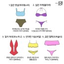7월 15일(수) 출석부-체형별 수영복 고르는 꿀팁 이미지