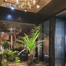 자작나무집 이미지