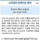 learnthe ropes 이미지