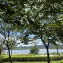 야외음악당(실외) 이미지