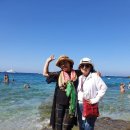 갤러리순 이미지