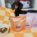 와글리 | 반려견 건강 수제간식 와글리 waggly) 내돈내산 강아지 선물 먹여본 후기