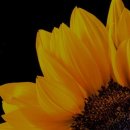 압화공예 이미지