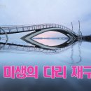 미생의다리 재구성 이미지