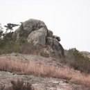 오룡초등학교 이미지