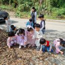 10.3주 가을산책 이미지