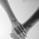 아마빌리스 이미지