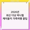 금강산카써비스 | [2026년 최신] 가족 해외여행 필수 코스, 다낭 바나힐 테마파크 케이블카 탑승 후기 및 꿀팁