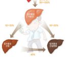 간수치가 높은이유 간수치 높으면 증상 이미지