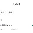 당플 이미지