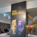 발자국 따라 우리 역사 | [전시회] 우리가 사랑하는 NBA와 맘바의 이야기 ‘Dear Basketball’ 관람 후기