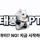 실전마루타