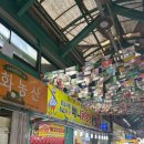 혜기목장 | Happy new year✨