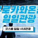 주식회사 여행투어 네이버블로그