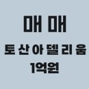 토산아델리움 이미지