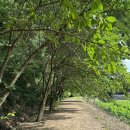 물가애 캠핑장 이미지