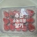 소농의정 킹스베리 산지출고 대왕딸기 과즙 팡팡 신선한 설향딸기 특과 솔직 후기