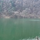 카페애룡호수 | 요기 / 돈카츠 먹고 산책까지 완벽 코스 / 유기농 샐러드 / 애룡호수 뷰 맛집 / 애룡156 / 서울근교맛집