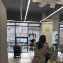 미아역미용실 다녀온 후기, ELLAC 엘라끄 헤어 레이어드펌 만족