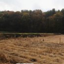 덕평농장 이미지