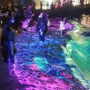 진하농장 이미지