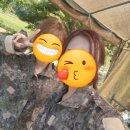 코끼리 게임장 이미지