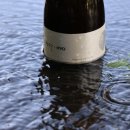 보이차&홍차 티 소믈리에 이미지