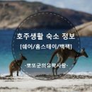 [호주숙소구하기][호주워홀]호주쉐어/호주홈스테이/백팩 특징 이미지