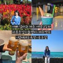 농업기술센터 서부상담소 | [제주] 엄마아빠와 제주 여행 2일차 - 서부기술농업센터, 협재해수욕장, 제주맥주양조장, 용두암, 휴즐리