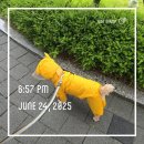 울산광역시북구보건소 이미지