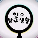 탐구생활