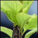 제천휴게소 이미지