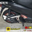 멀티게러지