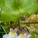 금창초등학교 이미지
