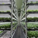 서영택농장 이미지