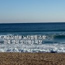 장사해수욕장 | 경북 영덕 장사해수욕장 노지캠핑 차박 명소