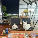 제이위드 이미지