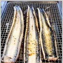 장어의꿈 이미지