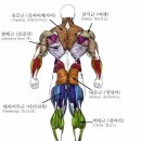 평시엔 알려고하지 않는 우리 신체에 대한 기록들﻿ 이미지