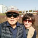 여보나리 이미지