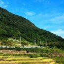 다랭이마을 이미지