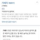 가배차(GABAECHA) 네이버블로그