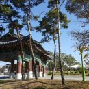 웰빙요가(오후) 이미지