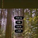 지유명차표선점