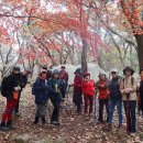 금강(부산) 이미지