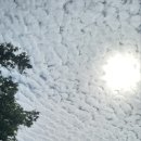 자연과호수2 이미지