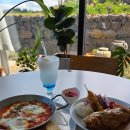 준이네농장 | [제주 4박5일 여행] 3일차 일정 정보 경비(에그플랜트, 대정읍해안로 돌고래스팟, 바다기찻길 포토스팟...