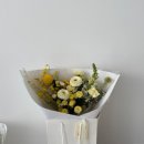 (주)핸드스튜디오 이미지