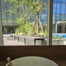 루드베키아 | [광화문 브런치 맛집] 루드베키아 내돈내산 후기(+맛있는데 비쌈)