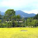 고목가든펜션 | 가평 숙소 포시즌풀하우스- 가평 설악 독채펜션 에어비앤비 만족 후기